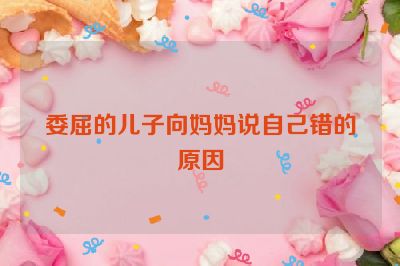 委屈的儿子向妈妈说自己错的原因