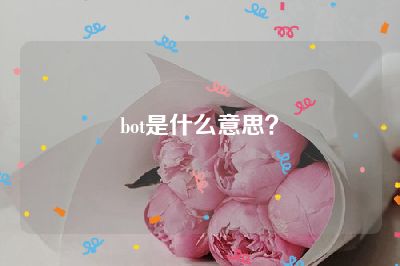 bot是什么意思？