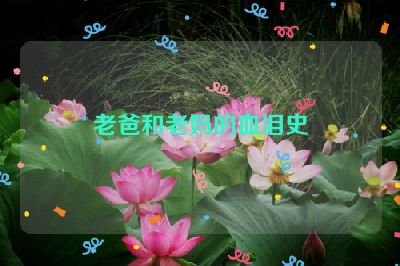 老爸和老妈的血泪史
