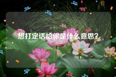 想打定话给你是什么意思？