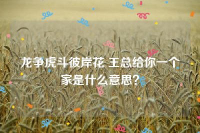 龙争虎斗彼岸花 王总给你一个家是什么意思？