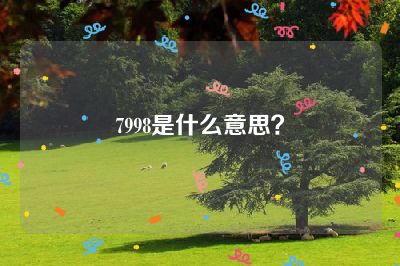 7998是什么意思？