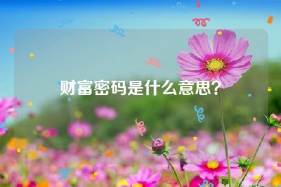 财富密码是什么意思？