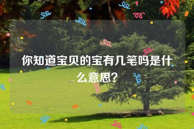 你知道宝贝的宝有几笔吗是什么意思？