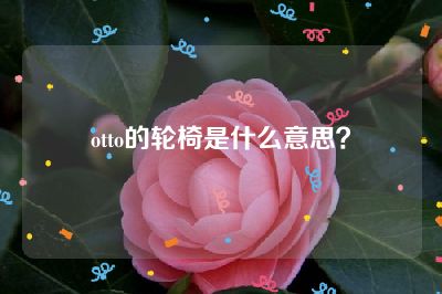 otto的轮椅是什么意思？