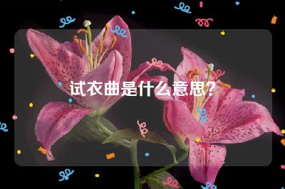 试衣曲是什么意思？