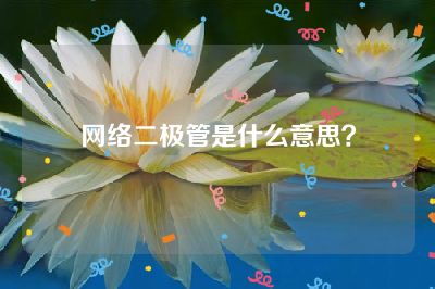 网络二极管是什么意思？