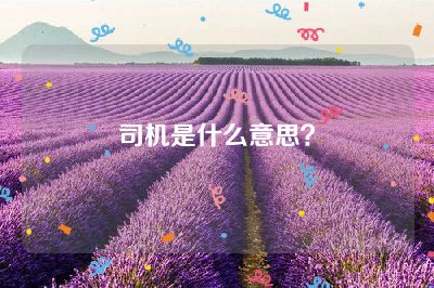 司机是什么意思？