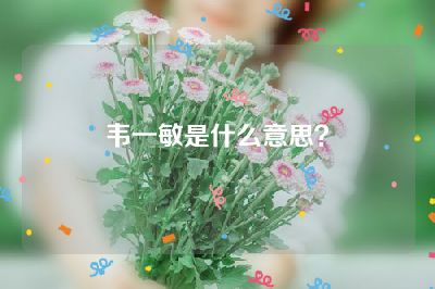 韦一敏是什么意思？