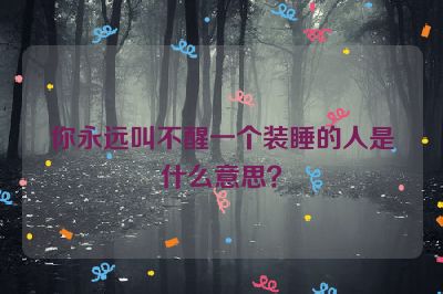 你永远叫不醒一个装睡的人是什么意思？