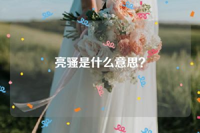 亮骚是什么意思？