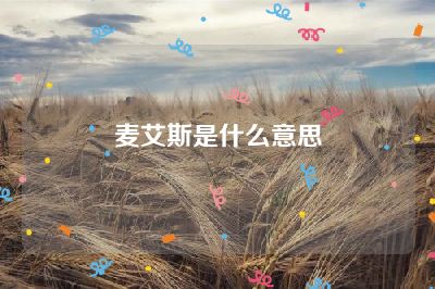 麦艾斯是什么意思