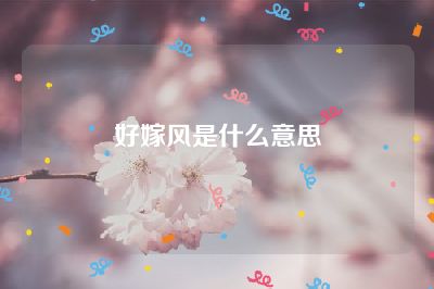 好嫁风是什么意思