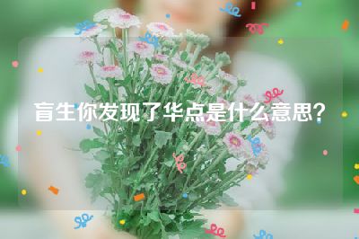 盲生你发现了华点是什么意思？