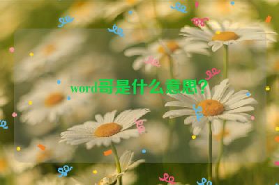 word哥是什么意思？