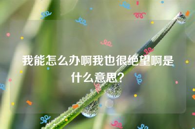 我能怎么办啊我也很绝望啊是什么意思？