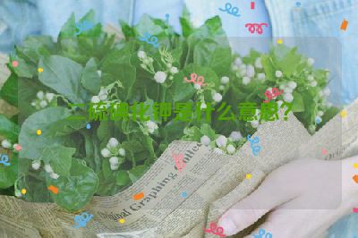 二硫碘化钾是什么意思？