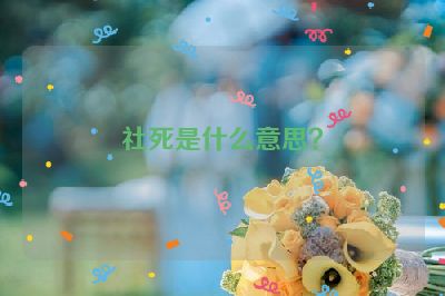 社死是什么意思？