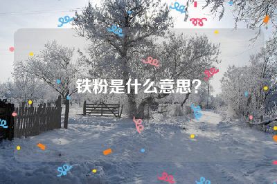 铁粉是什么意思？