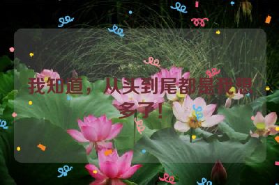 我知道，从头到尾都是我想多了！