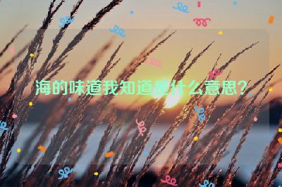 海的味道我知道是什么意思？