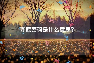 夺冠密码是什么意思？