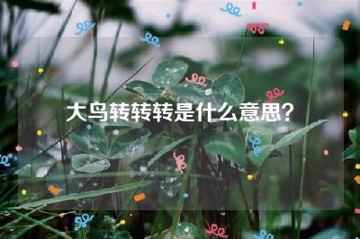 大鸟转转转是什么意思？