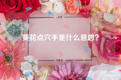 葵花点穴手是什么意思？