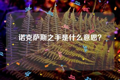 诺克萨斯之手是什么意思？