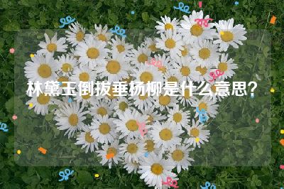 林黛玉倒拔垂杨柳是什么意思？