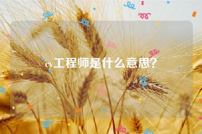 cv工程师是什么意思？
