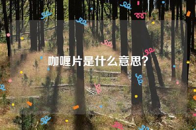 咖喱片是什么意思？