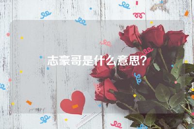 志豪哥是什么意思？