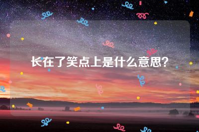 长在了笑点上是什么意思？