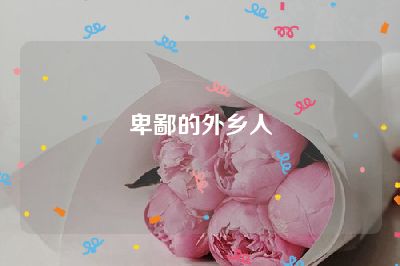 卑鄙的外乡人