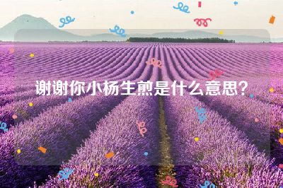 谢谢你小杨生煎是什么意思？