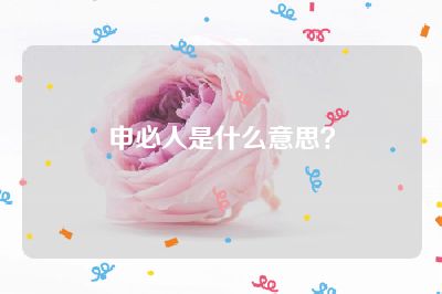申必人是什么意思？