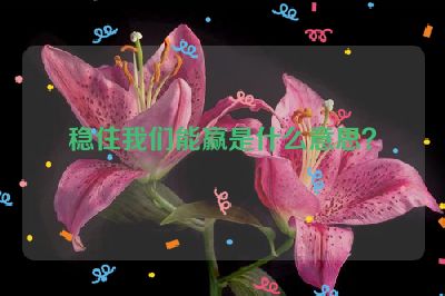 稳住我们能赢是什么意思？