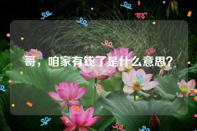 哥，咱家有钱了是什么意思？