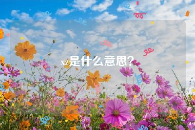 xz是什么意思？