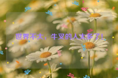世界不大，牛叉的人太多了！