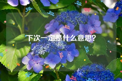 下次一定是什么意思？