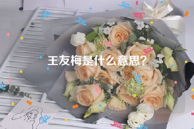 王友梅是什么意思？