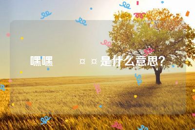 嘿嘿🤤是什么意思？