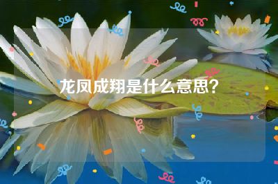 龙凤成翔是什么意思？