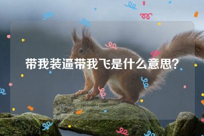 带我装逼带我飞是什么意思？