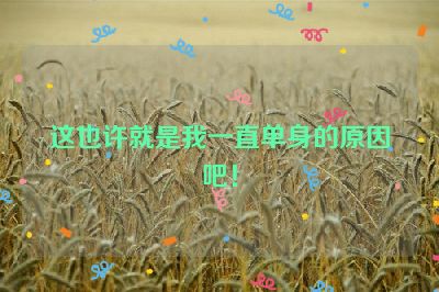 这也许就是我一直单身的原因吧！