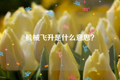 机械飞升是什么意思？