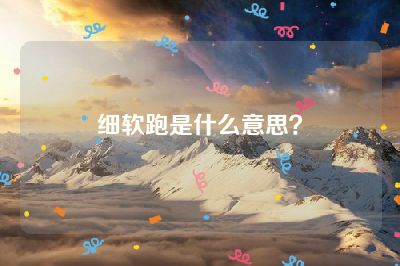 细软跑是什么意思？