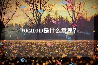 VOCALOID是什么意思？